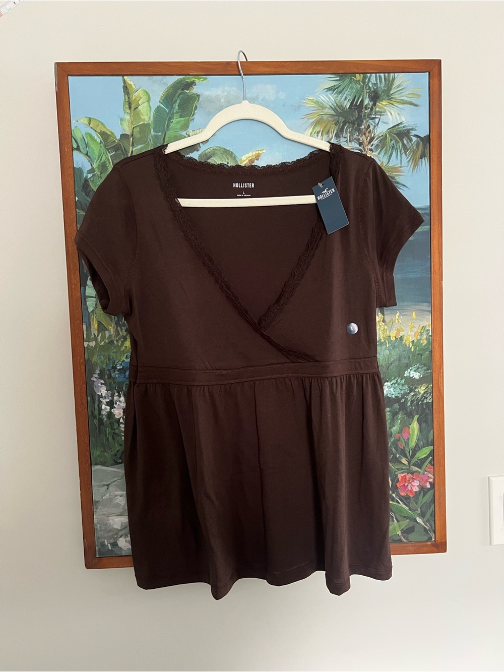 Hollister Women's Brown Lace Trim V-Neck Babydoll Top
